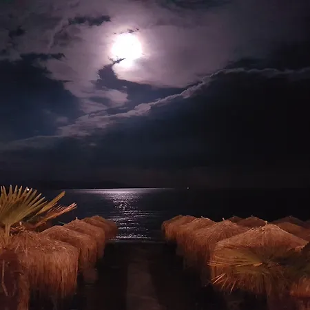 Nickolas PalaiónTsiflíkion