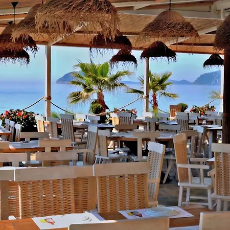 Nickolas Hotel PalaiónTsiflíkion